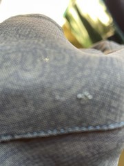 Henry Duarte Olive Ombre Paisley Shirt Pearl Butts Bell Sleeves Y2K 2000sUSA M