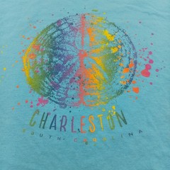 Fruit Of The Loom T Shirt Mens XL Blue Charleston South Carolina Colorful Print