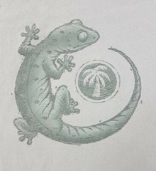 Vintage Discovery Channel Store Gecko Tee Green Size L Mens T-Shirt
