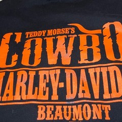 Harley-Davidson T-Shirt Mens 2XL Black Biker Edgy Spark Plug Skull Beaumont TX