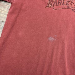 Harley Davidson Graphic T-shirt Rust Orange Mens L 2 Sided Tee Sweetwater Faded