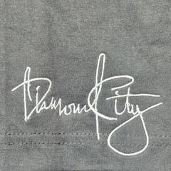 VTG Diamond City Sport 202 Men’s Long Sleeve T Shirt Size 2X Gray Graphic