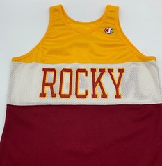 Vintage 80s 90s Champion Mens Large Color Block Mesh Tank Top Track Jersey Shirt