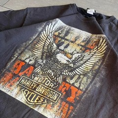 Harley Davidson Chandler Arizona Eagle Graphic T-Shirt Black Mens XL Bravado