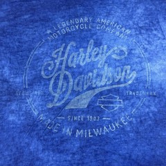 Harley-Davidson Shirt Mens Large Blue Mineral Wash Graphic Motorcycle Crewneck