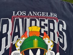 Vintage 1993 Marvin the Martian Los Angeles Raiders Looney Tunes 1-Stitch Shirt