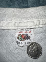 Vintage Fruit On The Loom 80’s DELTA SIGMA THETA T SHIRT Made In USA