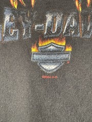 Vtg Harley Davidson Flame Chrome Eagle T Shirt Men’s 2X Y2k Faded Black Biker Wa