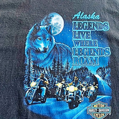 Y2K Harley Davidson T Shirt 2XL Taku Alaska Wolf Bear Eagle Animal Biker Grunge