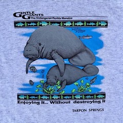 VTG 90s Endangered Florida Manatee Single Stitch Gentle Giant USA L Rare Ocean