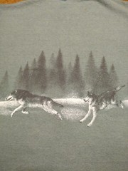 Vintage Signal Sports USA 90s North American Gray Wolf Medium Wildlife Outdoor
