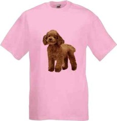 Cockapoo Dog Brown Pet Family Novelty T Shirt Various Colours And Sizes