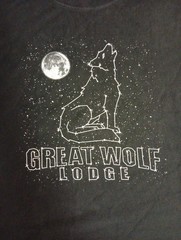Great Wolf Lodge Star Constellation T-Shirt Size XL Men’s Nature Astrology Black