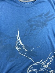 American Eagle Outfitters Mens Shirt Size Large Blue Tee Graphic Eagle Print