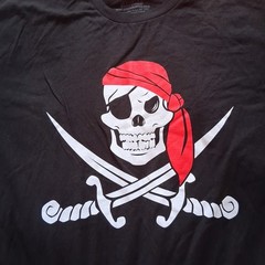 Ann Arbor Pirate Graphic Mens T-Shirts Black Size XL Pirate Print Swords Skull