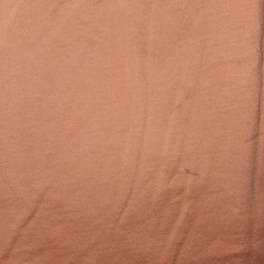 Patagonia P-6 Logo Organic Cotton Tee | Large | Desert Orange Sustainable Flaw