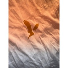 American Eagle Outfitters Mens TShirt Short Sleeve Std Fit Coral White Graphic S