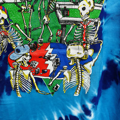New Unworn Vtg Grateful Dead Las Vegas Band T Shirt Ripple Junction 90s Tie Dye