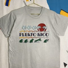 Vintage 70s Frogs Puerto Rico Tshirt Large Flag Sunset Retro Beach Single Stitch