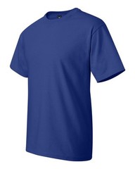 Hanes Beefy-T Big or TALL T-Shirts, 100% Cotton, LT-4XLT, 2XL-6XL, 5180, 518T