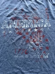 AMERICA -LAND OF THE FREE HOME OF THE BRAVE T SHIRT /Medium Gildan