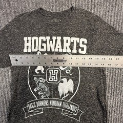 Harry Potter Hogwarts Crest Graphic T-Shirt Gray Linen Blend Mens Small S