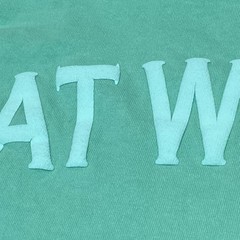Great Wolf Lodge Spirit Jersey Shirt Size XXL Teal Green Paw Print Oversized