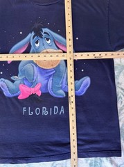 Classic Disney Eeyore Florida Delta Pro Weight T-Shirt Navy Size Large