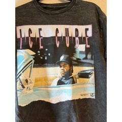 Ice Cube Mens Graphic T-Shirt Charcoal Mineral Wash Hip Hop Streetwear Tee S