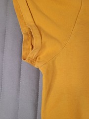 Aeropostale Men’s Large Yellow Graphic T-Shirt Original Brand Mountain Crew Neck