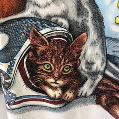 NASA Cats Shirt Mens 2XL White Delta Houston Texas Space Astronaut Graphic Tee