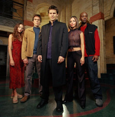 Rogue Demon Hunter T-Shirt ✩ Buffy Vampire Slayer ✩ Angel The Series Wesley Tee!
