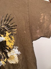 PacSun Rebel Rebel Eagle Graphic Brown Cotton Men’s Regular T-Shirt