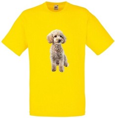 Miniature Poodle White Dog Pet Family Novelty T Shirt Various Colours And Sizes