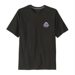 Patagonia Mens Great Waves Responsibili-Tee 2026 SS New Authentic Free Shipping
