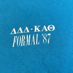 Vintage Hanes Shirt Mens XL Blue Tri Delt Theta Formal 87 Party Greek Tee USA
