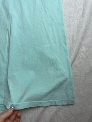 Crown & Ivy Mint Green Mens L Dog Golden Retriever Cotton Coastal Nature T-Shirt