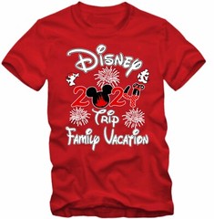 Disney Family Vacation 2024 fire works, Mickey, Minnie, Family Trip, Squad