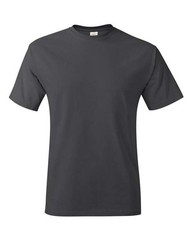 Hanes Unisex Authentic T-Shirt