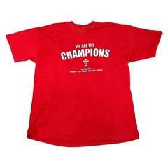 Fruit of the Loom Wales Screen Stars WRU Champions Six Nations T-Shirt Mens XXL
