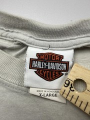 Harley-Davidson Shirt Mens XL Gray Fairbanks Alaska Graphic Tee Motorcycle