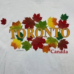 Vintage 2000 Toronto Canada Maple Leaves T Shirt Mens Medium White Graphic Tee