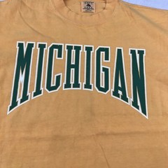 VTG Michigan Shirt Mens Large Yellow Green Graphic Tee Thick Cotton Galt Sand