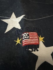 Vintage Ivy Crew Flag Shirt Mens Patriotic Size XXL Button Down Red White Blue