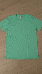 Men’s Canvas Light Weight Slim Tri-Blend T-Shirt Medium – Blue or Mint Green