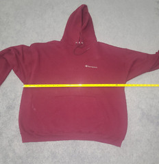 Champion Authentic Athletic Wear Pullover Hoodie Size 2XL Spellout Scripts Red
