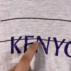Vintage Kenyon College Champion Shirt Adult Large Gray Long Sleeve 90’s USA
