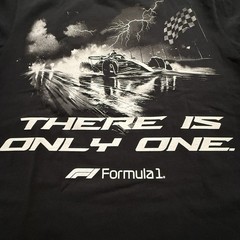 Pacsun | F 1 | T-Shirt | Speed of Light | There Is Only One | Men | Large