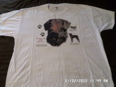 NEW T-Shirt: Chesapeake Bay Retriever Dog (LOTS of Colors & Sizes)