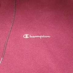 Champion Authentic Athletic Wear Pullover Hoodie Size 2XL Spellout Scripts Red